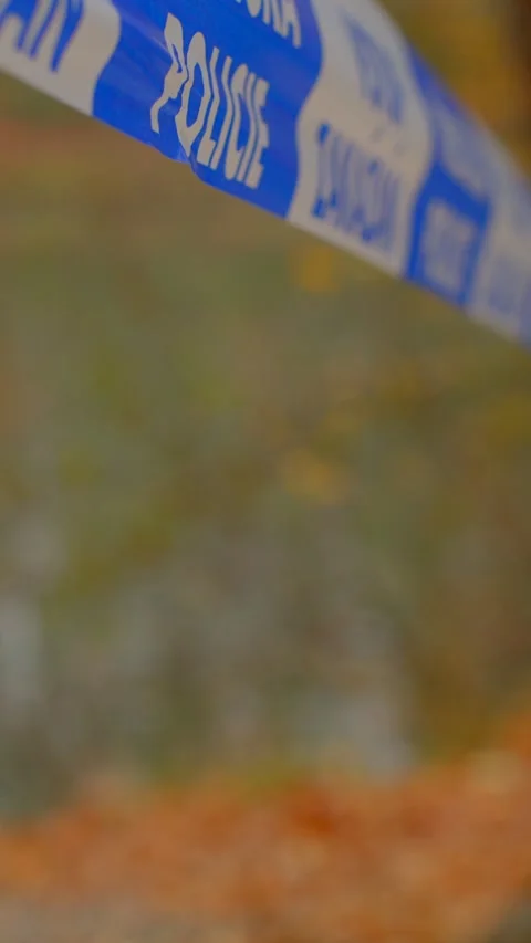 Investigation setup with blurred forest background and muted colors Stock Footage 324609679