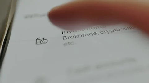 Investments section of a tax preparation software Stock Footage 330249481
