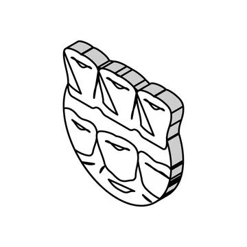 Invisalign treatment isometric icon vector illustration Stock Illustration
