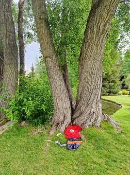 Invisible flash Stock Photos