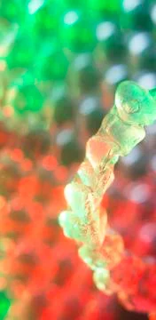 Invisible teeth aligners brackets Stock Photos