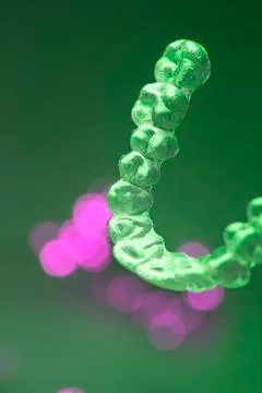 Invisible teeth brace brackets Stock Photos
