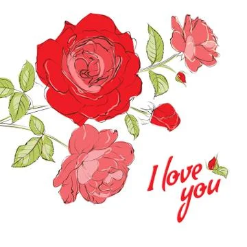 Invitation card with roses. Stock Illustration