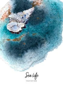 Invitation design template spiral seashell watercolor hand drawn illustration on Stock Illustration