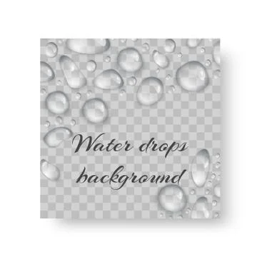 Invitation with drops of dew Stock Illustration