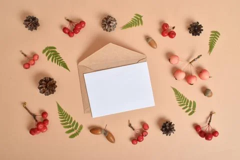 Invitation template with an envelope on a beige background with various natur 库存照片