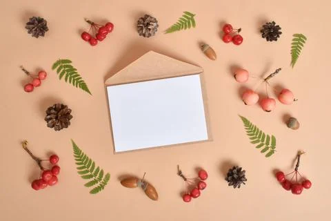 Invitation template with an envelope on a beige background with various natur Foto stock