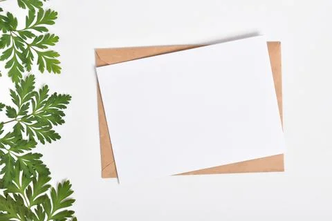 Invitation template with an envelope on a white background with green twigs o Stock Photos