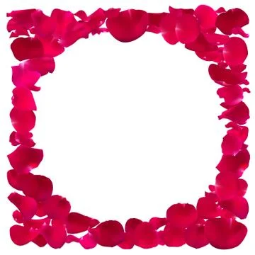 Invitation template with rose petals. Illustrazione stock