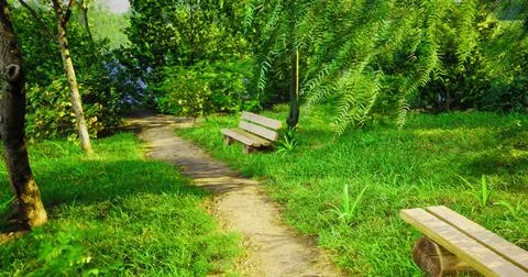 Inviting pathway through a serene green park on a sunny day Ilustração Stock