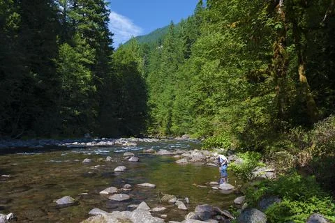 Inviting Salmon River Stock Photos
