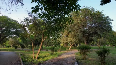 The inviting trail: Moving through the heart of an urban green space. Vidéo 333458943