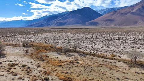 Inyo County Owens Valley Eastern Sierra Aerial Drone Vidéo 262400013
