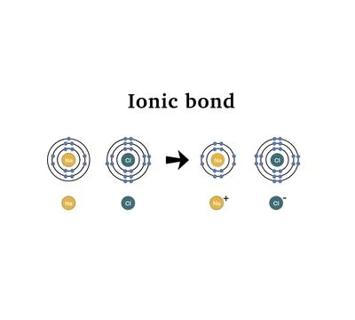 Ionic bond and electrostatic attraction from chemical bonding outline Stock Illustration