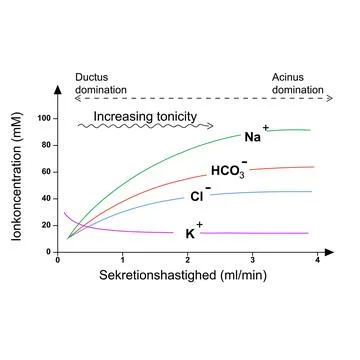 Ionkoncentration vs Secretion rate, Increasing tonicity chart diagram vector   Stock Illustration