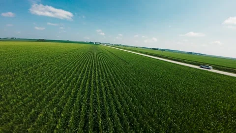 Iowa Corn Fields Aerial Stock Footage 313156735