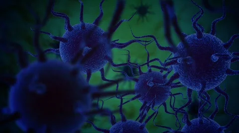 IP squgglycell2.v1 Video stock 647128