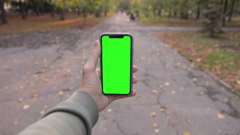 IPhone 11 in vertical or portrait orientation. People walking in the autumn park Stock Footage 141206441