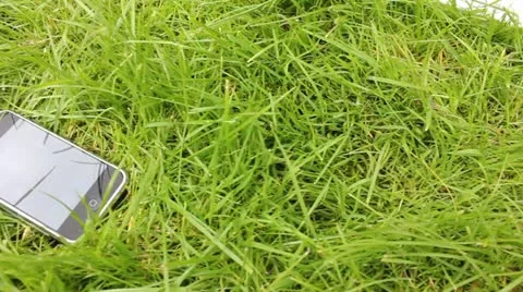 Iphone in grass Video stock 11868051