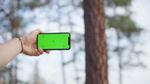 Iphone green screen mockup landscape in forest 库存影片 218467098