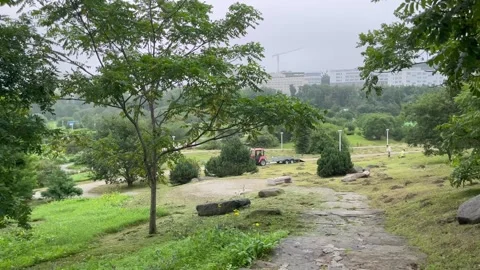 IPink Tractor on a Green Landscape with Trees and Coastal View Stock Footage 341573402