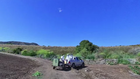 IPM Technicians in white chemical suits in Pickup Truck Over Rugged Terrain Stock Footage 277514477