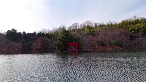 Ippeki Lake, Torii Gate, Front View, Symmetry, Aerial│Japan Stock Footage 329057500