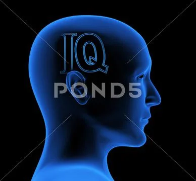 IQ Stock Illustration