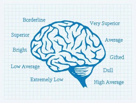 IQ, Intelligence Quotient, Brain, Mentality Illustrazione stock