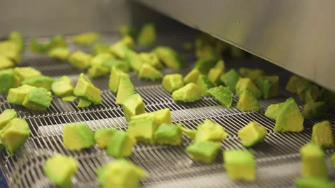 IQF Processing Line Carrying Cut Avocado Chunks Into Freezing Tunnel 스톡 동영상 346738945