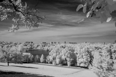 IR landscape Stock Photos