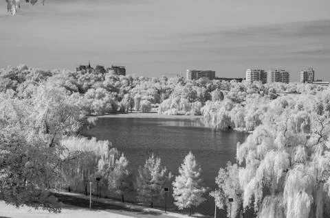 IR landscape Stock Photos