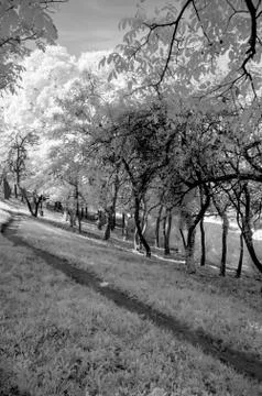 IR landscape Stock Photos