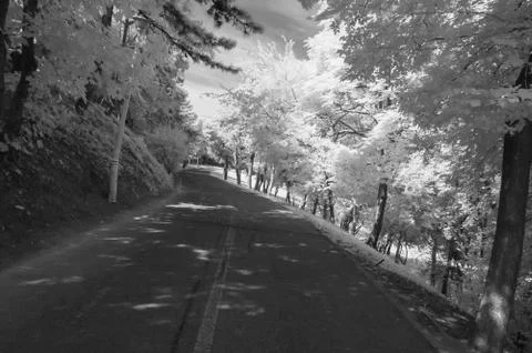 IR landscape Stock Photos