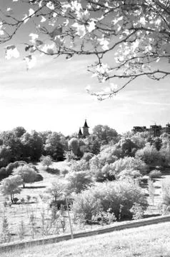 IR landscape Stock Photos