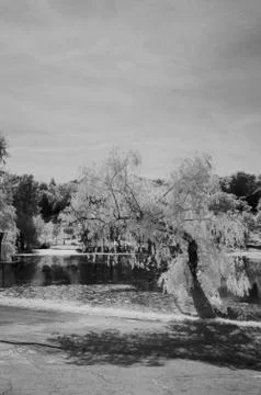 IR landscape Stock Photos