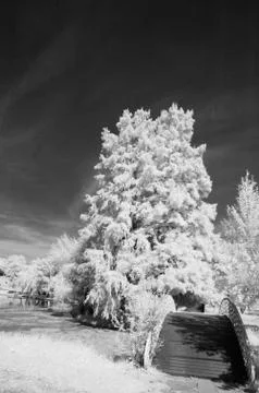 IR landscape Stock Photos