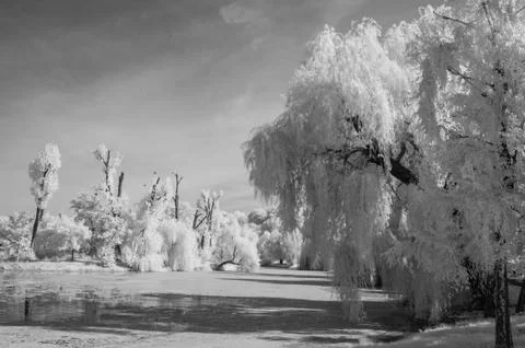 IR landscape Stock Photos