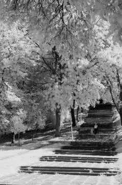 IR landscape Stock Photos