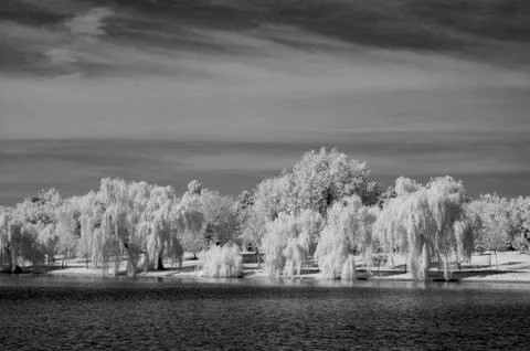 IR landscape Stock Photos