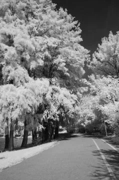 IR landscape Stock Photos