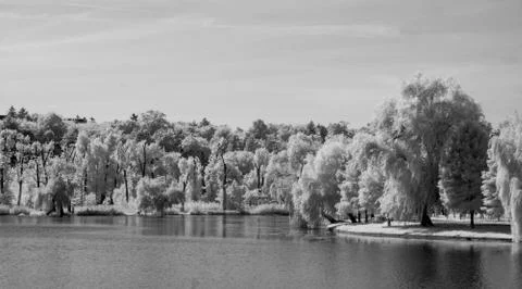 IR landscape Stock Photos
