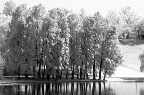IR landscape Stock Photos