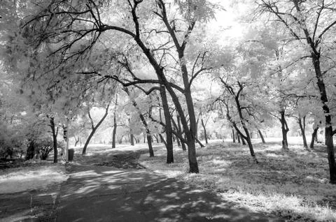 IR landscape Stock Photos