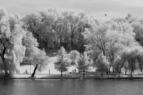 IR landscape Stock Photos
