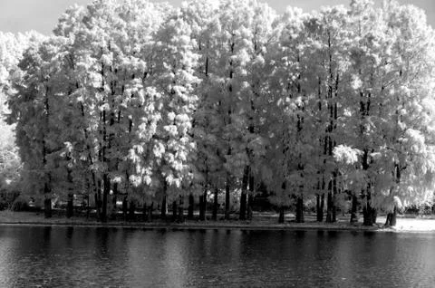 IR landscape Stock Photos