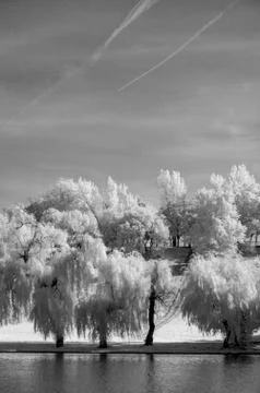 IR landscape Stock Photos