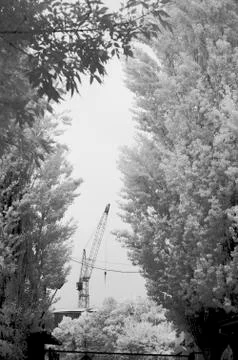 IR landscape Stock Photos