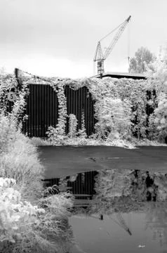 IR landscape Stock Photos