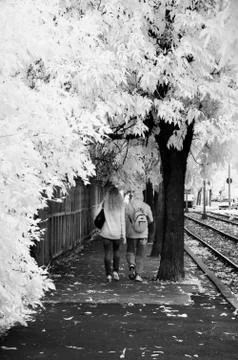 IR landscape Stock Photos